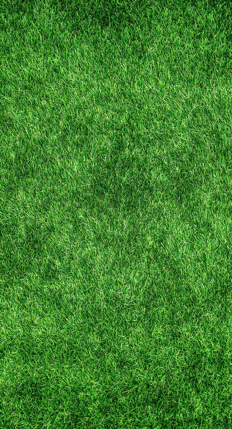 Eco-conscious Practices