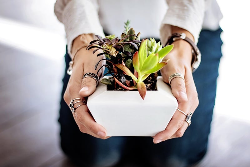 Repurposed Planters